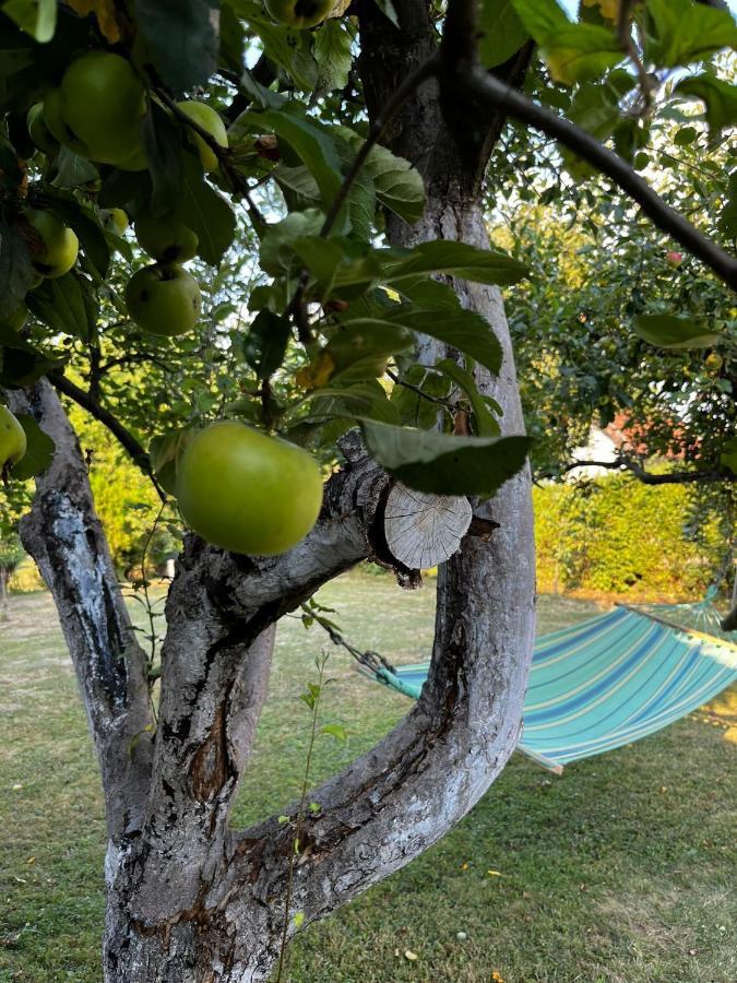 Amila Holiday home